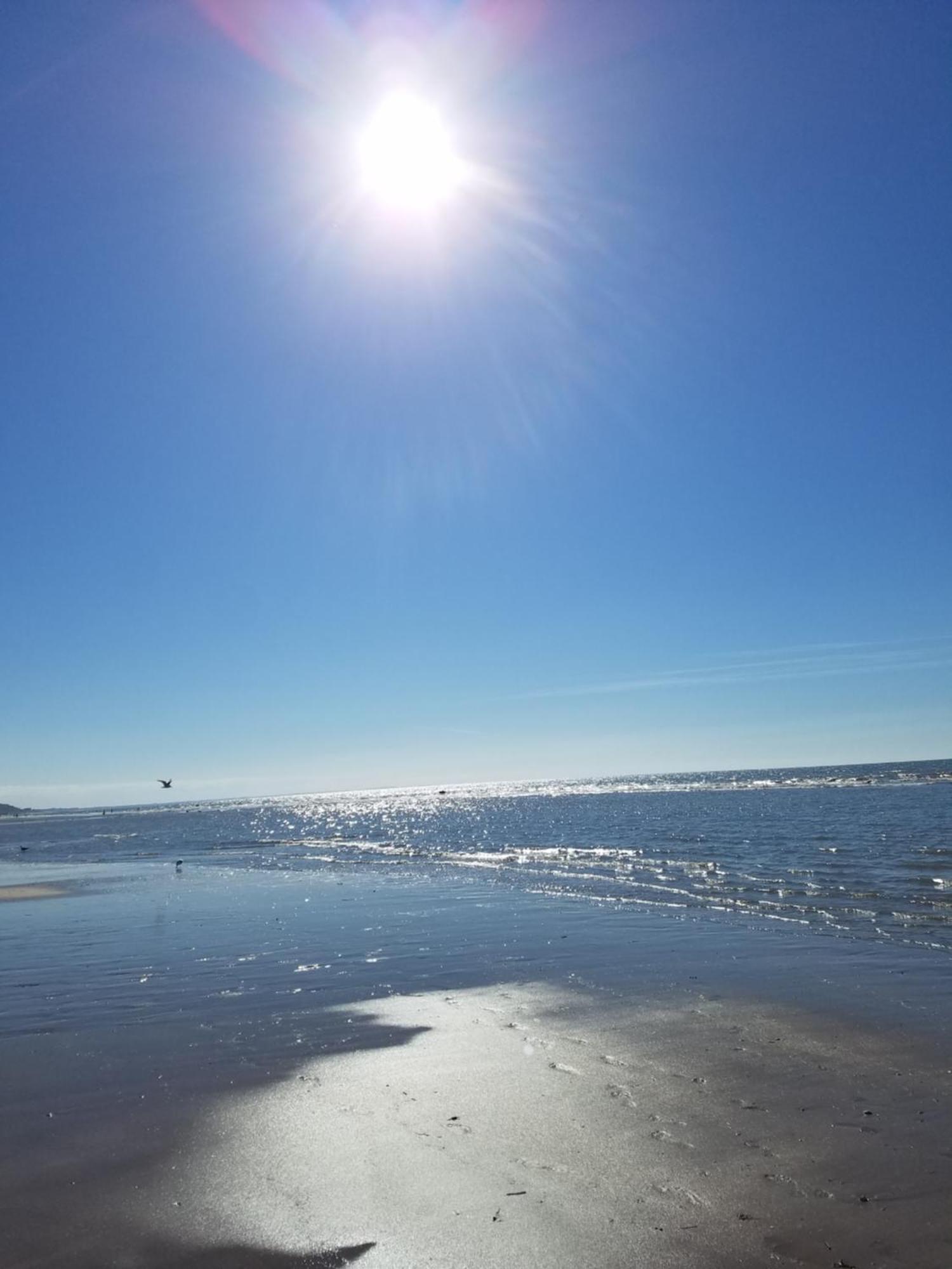 Apartament Le Vieux Pre De La Motte Villers-sur-Mer Zewnętrze zdjęcie
